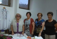 Otvoreni Vidovdanski dani na Romaniji