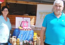 Košnica – primjer za život u zajednici