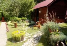 Dvorište Slađane Čečar – najuređeniji porodični kutak Dvorište Slađane Čečar - najuređeniji porodični kutak