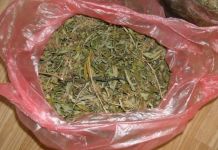 U Kozluku pronađeno više od deset kilograma indijske konoplje U Kozluku pronađeno više od deset kilograma indijske konoplje