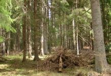 Podnesen izvještaj protiv lica sa Sokoca zbog nesavjesnog rada