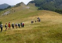 Zelengorska jezera, vrhovi i borovnice oduševljavaju turiste Zelengorska jezera, vrhovi i borovnice oduševljavaju turiste