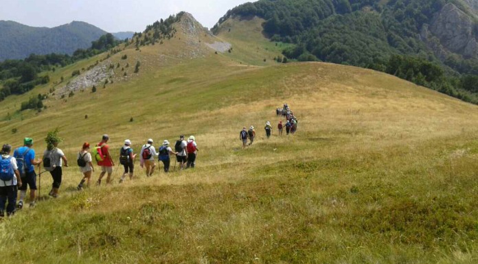Zelengorska jezera, vrhovi i borovnice oduševljavaju turiste