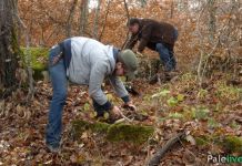 Počela arheološka istraživnja Počela arheološka istraživnja