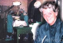 Ratni dnevnik holandske apotekarke I dio