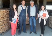 Nedostaje radna snaga u proizvodnim pogonima