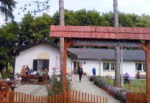 Ljepša strana terapije