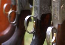 Sutra takmičenje u lovnom streljaštvu Ilustracija