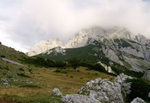 Poziv stanovnicima da pomognu zaustavljanje krivolova