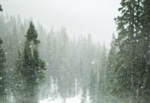 Na Romaniji pao prvi snijeg Pada snijeg