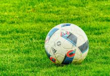 U petak počinje memorijalni turnir „Srđan Tomić i Vladica Babović“