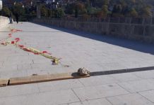 U toku zamjena kocke na mostu Mehmed paše Sokolovića U toku zamjena kocke na mostu Mehmed paše Sokolovića