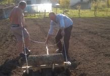 Opština obezbijedila sjemenski bijeli luk Opština obezbijedila sjemenski bijeli luk