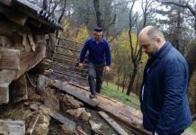 Medvjed rastrgao dvije ovce Medvjed rastrgao dvije ovce