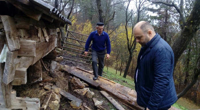 Medvjed rastrgao dvije ovce