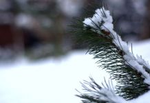 Snijeg dostigao 80 centimetara, bez struje sela Karaula i Zagrađe