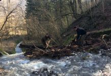 Počelo čišćenje odvodnih kanala iznad spomenika Počelo čišćenje odvodnih kanala iznad spomenika
