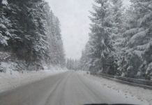 Buloščić: Svi putevi prohodni Ilustracija