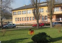 U kućnoj izolaciji 15, a u karantinu šest lica Zaposleni u Domu zdravlja pomažu djecu sa posebnim potrebama