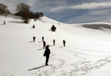 Atraktivnom stazom „Mike Savića Pirija“ pješačilo 80 planinara Atraktivnom stazom "Mike Savića Pirija" pješačilo 80 planinara
