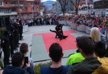 Službenim psima i krav magom oduševili građane Službenim psima i krav magom oduševili građane