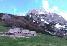 Nestvarno proljeće na Magliću Nestvarno proljeće na Magliću