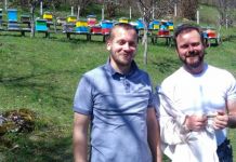 Vaskrs u košnici – pčela kao životni uzor Vaskrs u košnici - pčela kao životni uzor