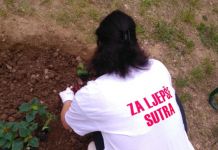 Javnim ustanovama sadnice cvijeća za „ljepše sutra“ Javnim ustanovama sadnice cvijeća za "ljepše sutra"