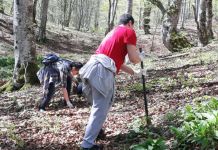 Mladi socijaldemokrati posadili 4.000 sadnica