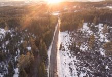 Milionske štete zbog nelegalne sječe šuma