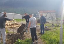 Zasađeno ukrasno drveće ispred Studentskog doma Zasađeno ukrasno drveće ispred Studentskog doma