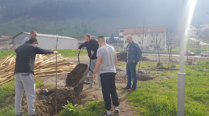 Zasađeno ukrasno drveće ispred Studentskog doma