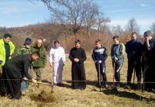 U porti manastira u Ozerkovićima zasađeno 500 sadnica smrče U porti manastira u Ozerkovićima zasađeno 500 sadnica smrče