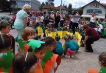 Mališani obradovali sugrađane maskenbalom i priredbom MALIŠANI OBRADOVALI SUGRAĐANE MASKENBALOM I PRIREDBOMSOKOLAC, 25. MAJA /SRNA/ - Oko 180 mališana sokolačkog vrtića učestvovalo je danas na maskenbalu pod nazivom "Povrćijada", u kome su prošli ulicama gradskog naselja i održali prigodan program za roditelje i okupljene građane Sokoca. Direktor ove ustanove Biljana Kosorić rekla je novinarima da je ovo tradicionalna manifestacija koja se održava već godinama krajem maja. "Mališani su obučeni u kostime koji simbolizuju povrće, čime promovišemo zdrav način života, što je u skladu sa Pravilnikom o zdravoj ishrani koji koristimo u našem vrtiću", navela je Kosorićeva. Ona je dodala da su na izradi ovih zanimljivih kostima radili vaspitači sokolačkog vrtića u saradnji sa roditeljima. Kosorićeva je napomenula da u ovom vrtiću boravi više od 200 djece. U cjelodnevnom programu je 130 djece, raspoređenih u pet vaspitno-obrazovnih grupa, i 80 djece u tri obrazovne grupe po skraćenom programu pripreme za školu. Ona je podsjetila da je riječ o tromjesečnom programu koji vrtić realizuje u saradnji sa Ministarstvom prosvjete i kulture Republike Srpske i opštinom Sokolac, osnivačem ove ustanove. "Završnim priredbama za vršnjake i roditelje, polaznici pripremnih odjeljenja obilježiće boravak u Ustanovi za predškolsko vaspitanje i obrazovanje", rekla je Kosorićeva. U vrtiću će biti organizovani završni časovi engleskog jezika i završna priredba cjelodnevne grupe predškolaca. Ona je najavila da sljedeće sedmice u ovoj ustanovi obavljaju pripreme za raspisivanje upisa za nove polaznike, čime će dobiti pregled zainteresovanih za narednu školsku godinu. Kosorićeva je naglasila da će za polaznike sokolačkog vrtića već treću godinu biti organizovano ljetovanje na Tari od 14. do 18. juna, za koje se prijavilo četrdesetak mališana.