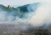 Požar na lokalitetu Mlađevac stavljen pod kontrolu Požar na lokalitetu Mlađevac stavljen pod kontrolu