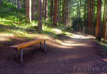 Uređenje trim staze i učionica na otvorenom