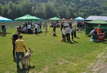 Otvorena prva Međunarodna izložba pasa Otvorena prva Međunarodna izložba pasa