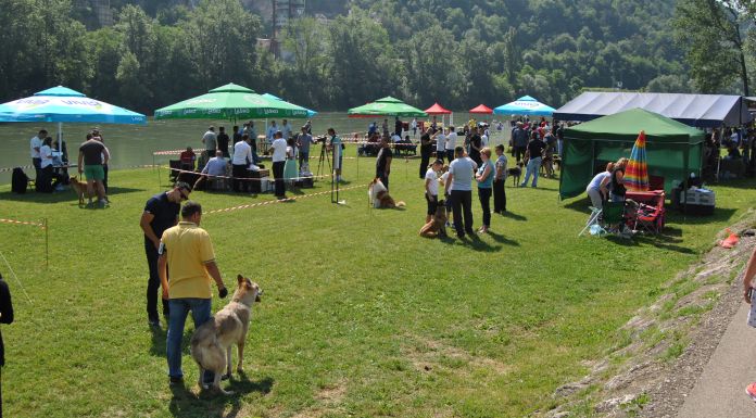 Otvorena prva Međunarodna izložba pasa