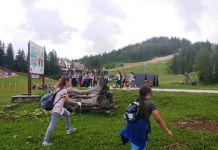 Više od 300 učesnika u akciji čišćenja planine