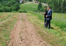 Podsticaj za uzgoj američke i kamčatske borovnice