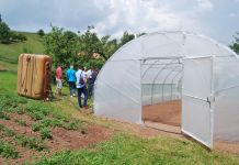 Podsticaj plasteničkoj proizvodnji