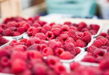 U gornjem Podrinju i na Romaniji očekuje se rod malina od 1.200 tona