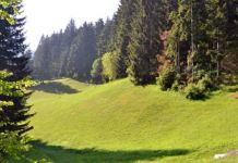 Golić: Čajničanima uskoro park prirode „Cicelj“ Golić: Čajničanima uskoro park prirode "Cicelj"