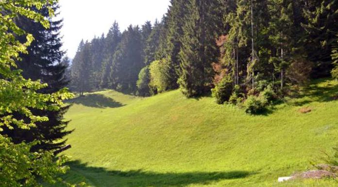 Golić: Čajničanima uskoro park prirode 