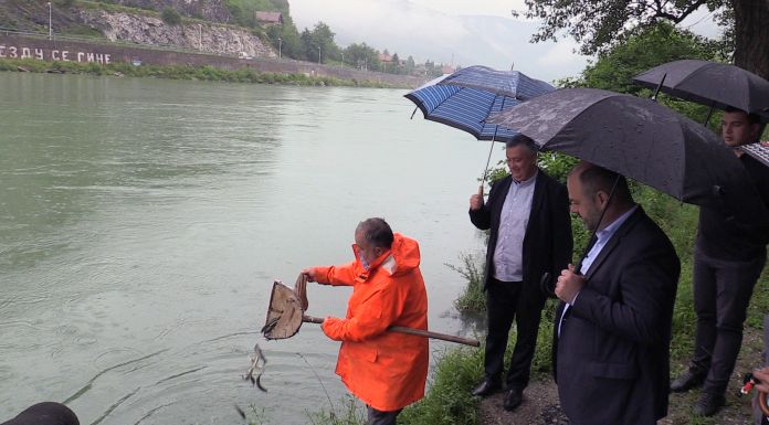 Drina poribljena pastrmkom i šaranom