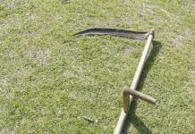 Kosidba za generala Mladića i gardiste