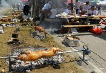 Na trećoj „Prasićijadi“ 77 ekipa Na trećoj "Prasićijadi" 77 ekipa