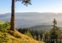 U četvrtak promocija brošure o ljepotama Romanije