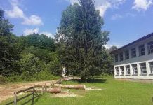 Osuda vandalskog ponašanja Osuda vandalskog ponašanja