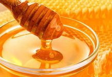 U srijedu „Dani višegradskog meda“